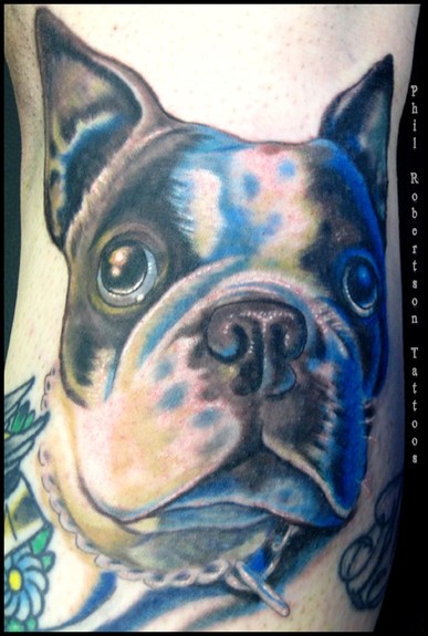 Looking for unique  Tattoos? Boston terrier tattoo.